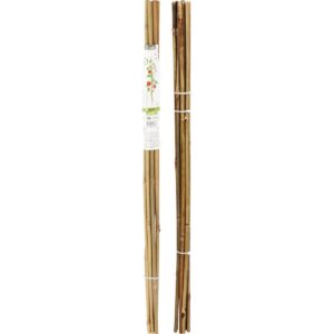 BAMBUSINĖ ATRAMA AUGALAMS, LAZDELĖ 78 CM, 10 VNT. PROGARDEN 310383 - Image 5