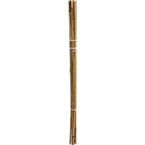 BAMBUSINĖ ATRAMA AUGALAMS, LAZDELĖ 78 CM, 10 VNT. PROGARDEN 310383 - Image 8