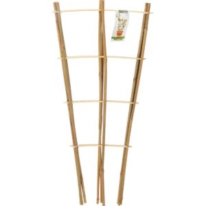 BAMBUSINĖ AUGALŲ ATRAMA KOPĖČIŲ FORMOS 75 CM 3VNT. PROGARDEN 323130