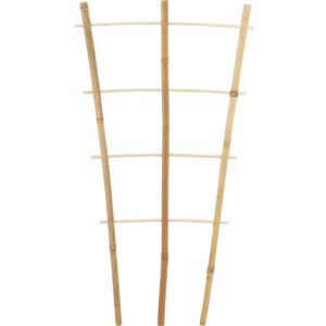 BAMBUSINĖ AUGALŲ ATRAMA KOPĖČIŲ FORMOS 75 CM 3VNT. PROGARDEN 323130 - Image 7