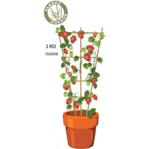 BAMBUSINĖ AUGALŲ ATRAMA KOPĖČIŲ FORMOS 75 CM 3VNT. PROGARDEN 323130 - Image 10