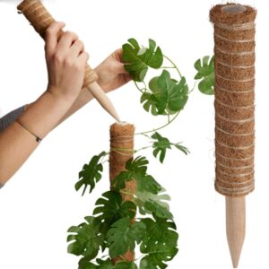 KOKOSINIS AUGALŲ RAMSTIS 30CM 716550
