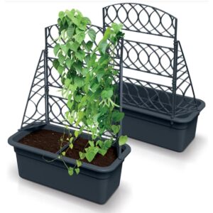 VAZONAS SU PERGOLA BLOMA 60CM PILKAS AKMUO 760667 - Image 2
