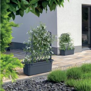 VAZONAS SU PERGOLA BLOMA 60CM PILKAS AKMUO 760667 - Image 3