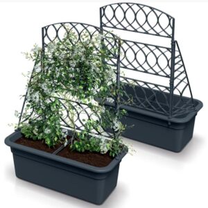 VAZONAS SU PERGOLA BLOMA 60CM ANTRACITO SPALVOS 760674 - Image 2