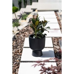 GĖLIŲ VAZONAS MILLY SU KOJELE 30CM ŠVIESIAI PILKAS 570938 - Image 3