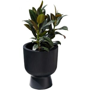 GĖLIŲ VAZONAS MILLY SU KOJELE 24CM ŠVIESIAI PILKAS 574394 - Image 7