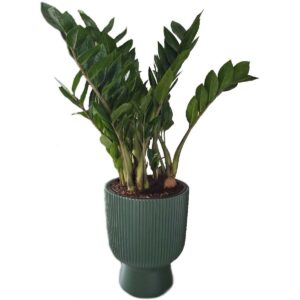 GĖLIŲ VAZONAS MILLY SU KOJELE 24CM ŠVIESIAI PILKAS 574394 - Image 10