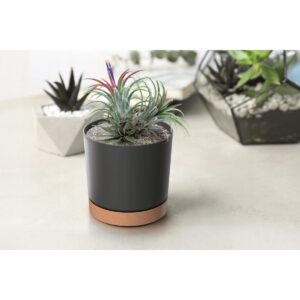 GĖLIŲ VAZONAS TUBO PM ANTRACITO SPALVOS 18CM 466941 - Image 2
