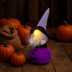 DEKORACINĖ FIGŪRĖLĖ ANT MOLIŪGO 35CM LED HALLOWEEN VIOLETINĖ 1064260 - Image 6