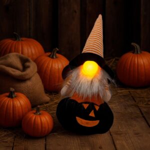 DEKORACINĖ FIGŪRĖLĖ ANT MOLIŪGO 35CM LED HALLOWEEN JUODA 1064277 - Image 6