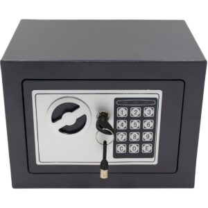 SEIFAS SU SKAITMENINE SPYNA 23X17X17CM 1067582 SASKA GARDEN 1067582