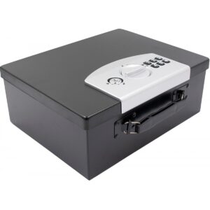 SEIFAS SU SKAITMENINE SPYNA 32,4x12,7x25,5CM 1068756 SASKA GARDEN 1068756