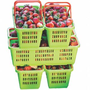 PLASTIKINIS KREPŠELIS VAISIAMS IR DARŽOVĖMS, AŽŪRINIS SU RANKENA 1075730 - Image 7