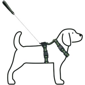 ŠUNŲ PAKINKTAI SU ŠVIESĄ ATSPINDINČIA JUOSTA 44-57CM MEDIUM SU PAVADĖLIU 438030 - Image 3