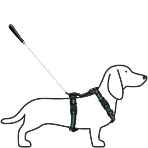 ŠUNŲ PAKINKTAI SU ŠVIESĄ ATSPINDINČIA JUOSTA 42-53 CM SMAL SU PAVADĖLIU 438047 - Image 3