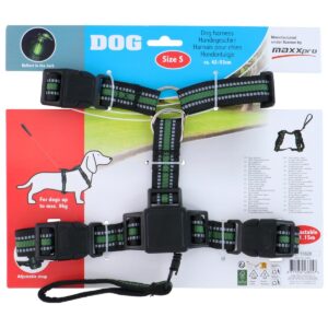 ŠUNŲ PAKINKTAI SU ŠVIESĄ ATSPINDINČIA JUOSTA 42-53 CM SMAL SU PAVADĖLIU 438047 - Image 5