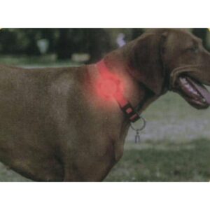 DVIRAČIO GALINIS ŽIBINTAS 3 LED SMD DUNLOP USB ĮKROVIMAS 2100593 - Image 5
