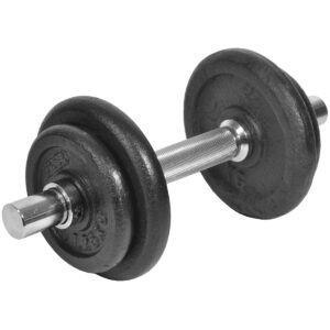 KETAUS SVARMUO 10 KG BEST SPORTING SKERSMUO 30MM 614201