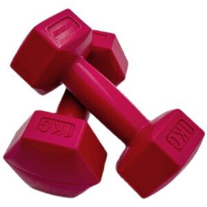 KOMPOZITINIŲ SVARMENŲ RINKINYS 2x1 KG ENERO FIT 1027012