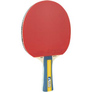 STALO TENISO RAKETĖ JOOLA TEAM MASTER 520017 - Image 3
