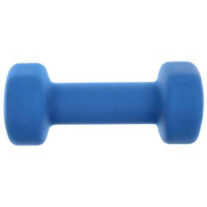 NEOPRENINIŲ SVARMENŲ RINKINYS 2x2KG ENERO FIT 1029252 - Image 4