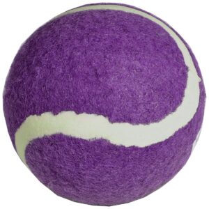TENISO KAMUOLIUKAS ENERO 1VNT. VIOLETINIS 1008172