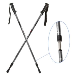 Žygio lazdos ENERO CLASSIC sidabrinės 588846