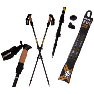 ŠIAURIETIŠKOJO ĖJIMO LAZDOS ENERO PRO EVO + DĖKLAS 1041797