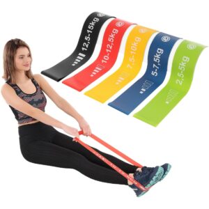 SPORTINIŲ GUMŲ RINKINYS FITNESS CROSSFIT MINI BAND 5V1 ENERO FIT 1028842