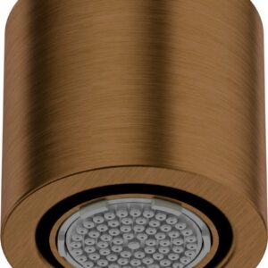 1-function shower head