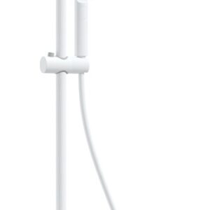 Showerhead w/ thermostatic shower mixer