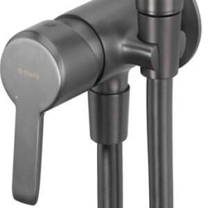 Concealed bidet mixer with bidetta shower head