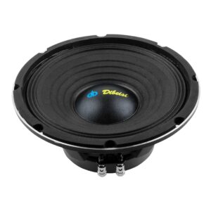 Dibeisi 10-inch Speaker DBS-PS1005-8
