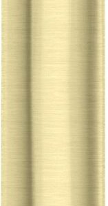 1-function shower head