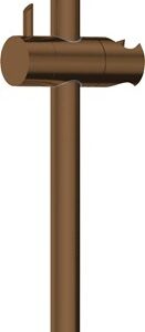 Shower rod