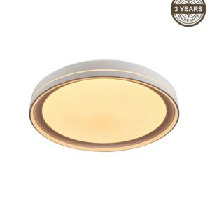 Ceiling Lamp LED B2361-1L-R 49CM 45W