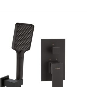Concealed shower set