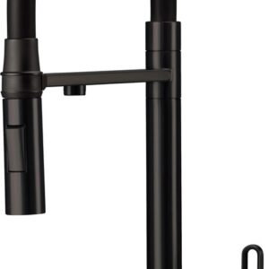 Kitchen faucet with filter connection & flex spout