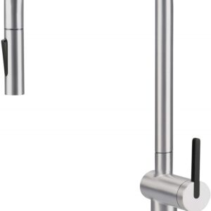 Kitchen faucet with pull-out spout