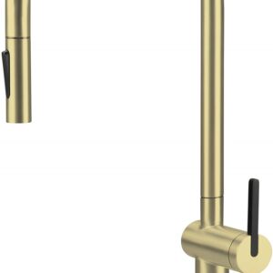 Kitchen faucet with pull-out spout