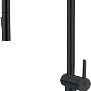 Kitchen faucet with pull-out spout