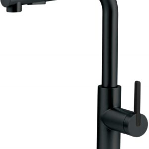 Kitchen faucet with pull-out spout
