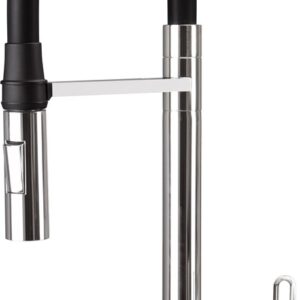 Kitchen faucet with flexible spout - 2 streams
