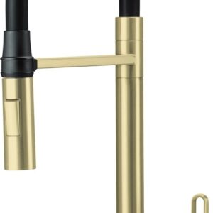 Kitchen faucet with flexible spout - 2 streams