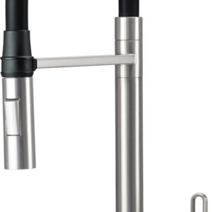 Kitchen tap w/flexible spout 2 spray modes