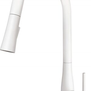 Kitchen faucet with pull-out spout