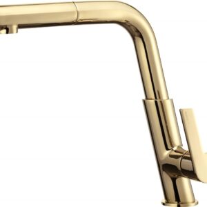 Kitchen faucet with pull-out spout