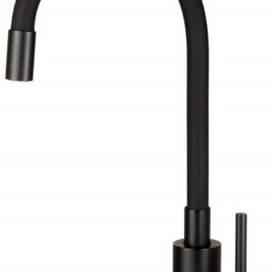 Kitchen faucet with flexible spout