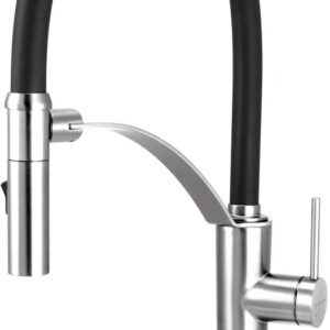 Kitchen faucet with flexible spout - 2 types of spray